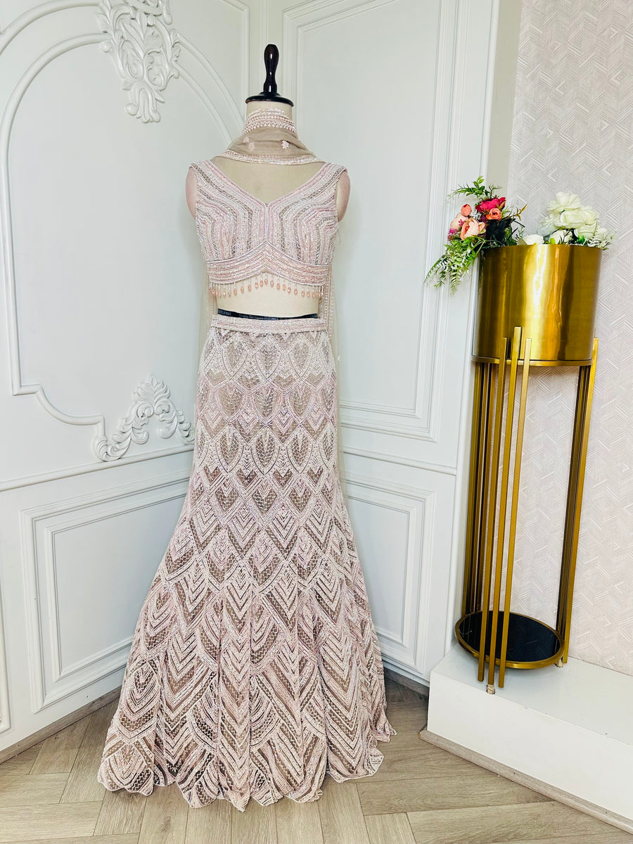 Blush pink sequinned lehenga set by Mamta Saree - full drape